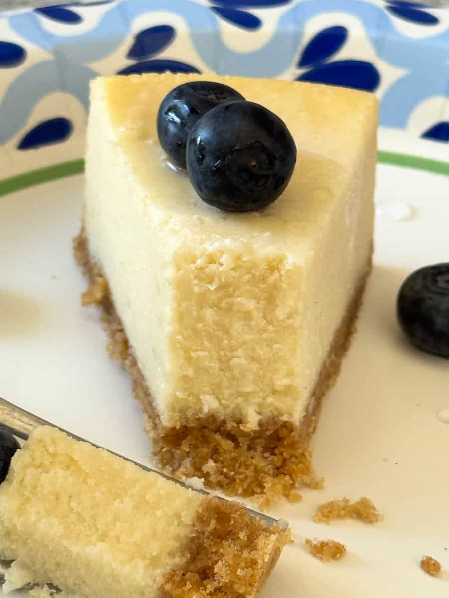 front view of a slice of cheesecake on the paper plate