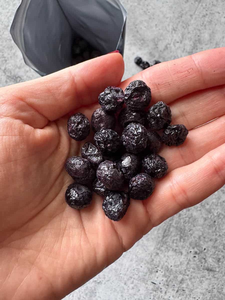 freezer dried blueberries in hand