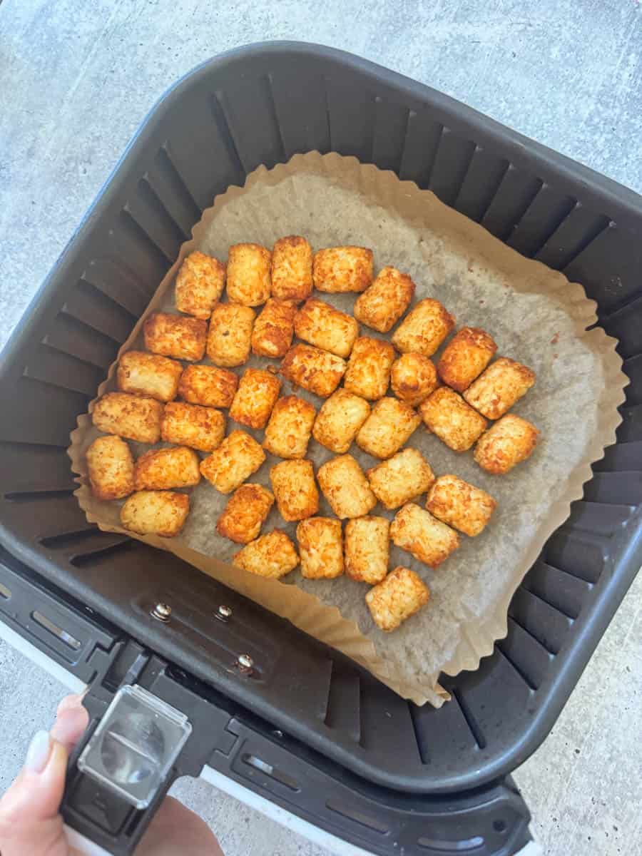 air fryer tater tots