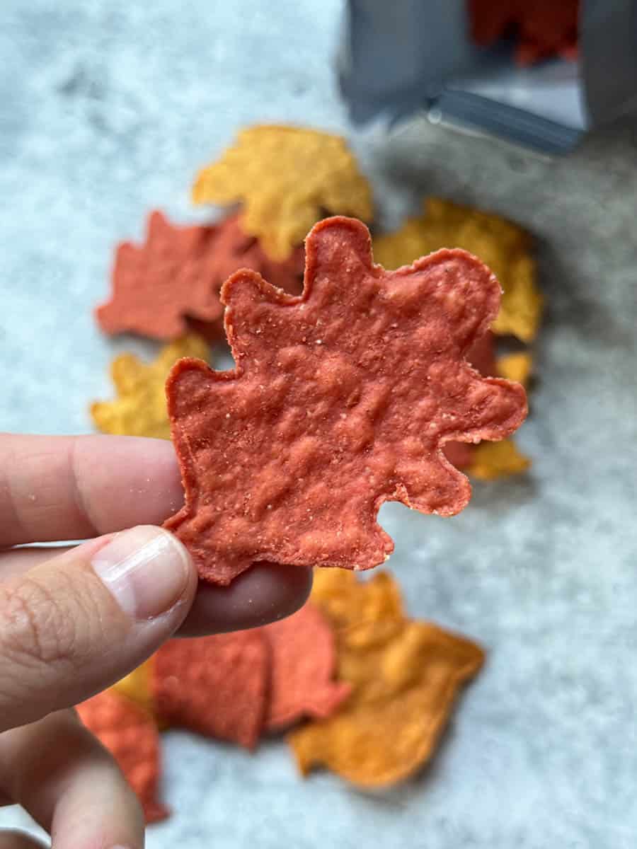 holding a chip shaped as leaf in hand